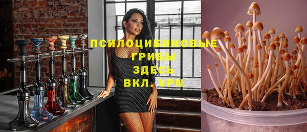 a pvp Абинск