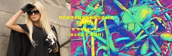 PSILOCYBIN Абдулино